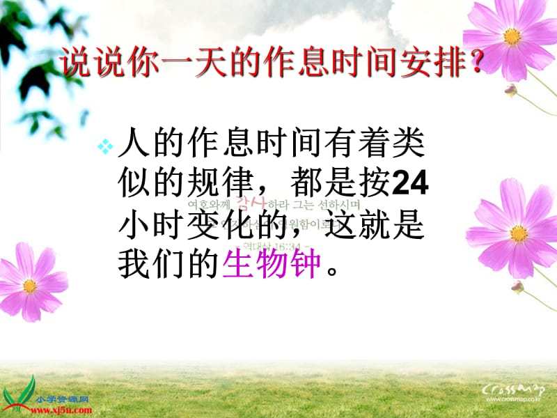 昼夜对动植物的影响.ppt_第3页