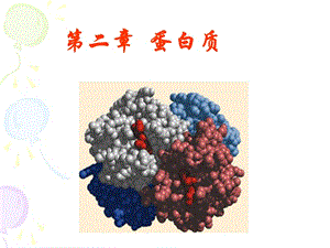 生物化学蛋白质.ppt