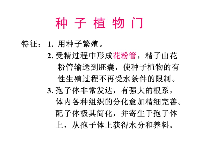 第七章种子植物.ppt_第2页