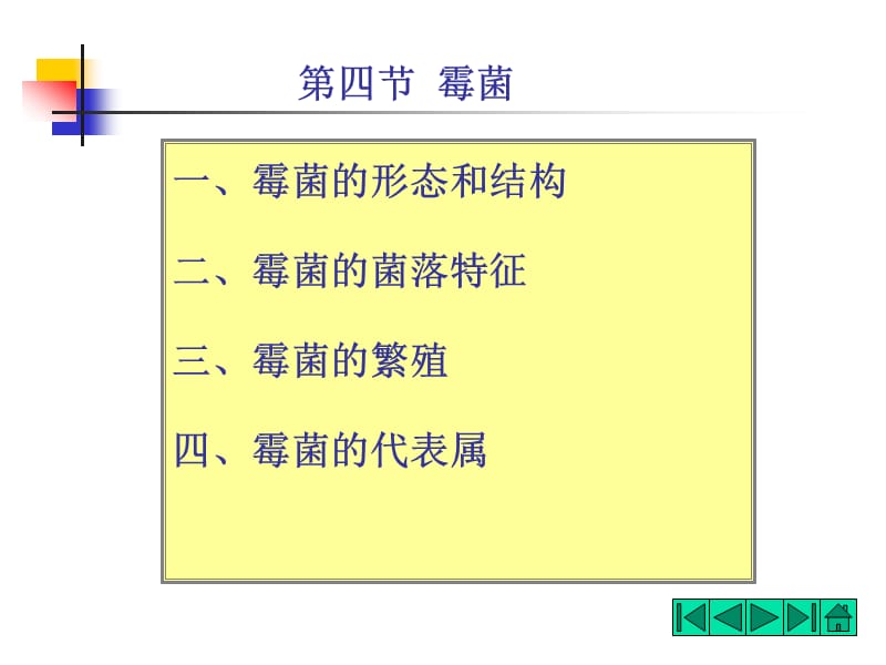 第二章微生物形态霉菌52.ppt_第1页