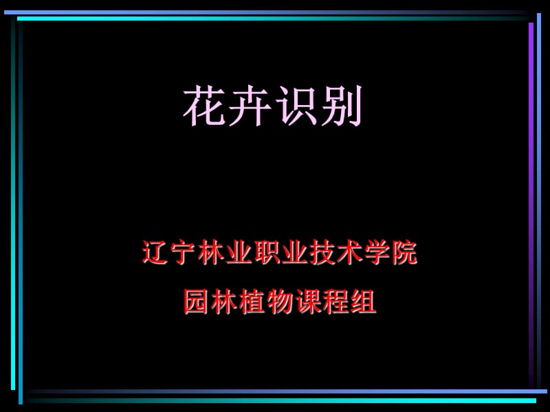 植物识别.ppt_第1页