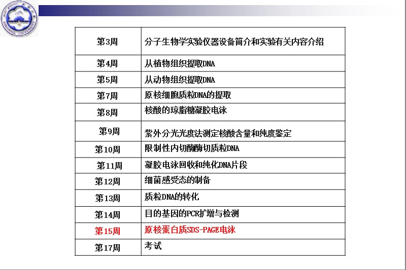 分子生物学实验十二.pps_第2页