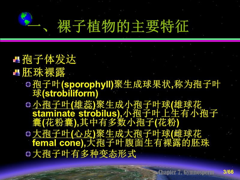 植物学第七章裸子植物第一二三节 (2).ppt_第3页