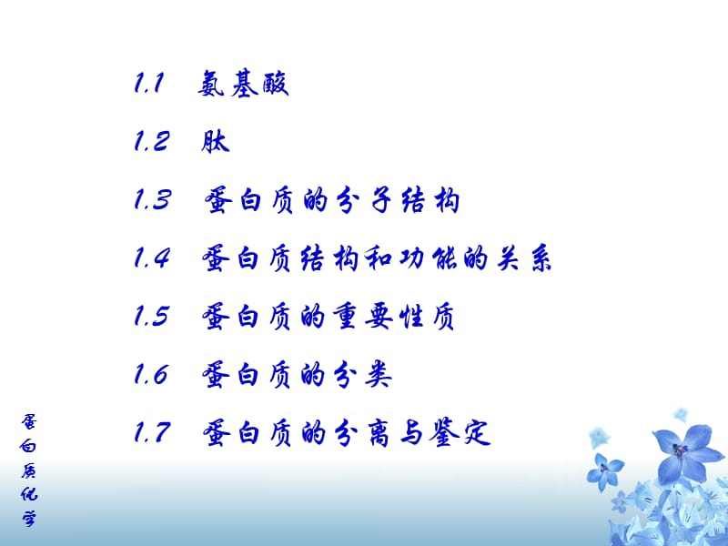 生化—蛋白质-2.ppt_第2页