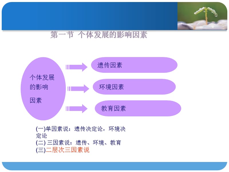 影响智商的因素.ppt_第2页