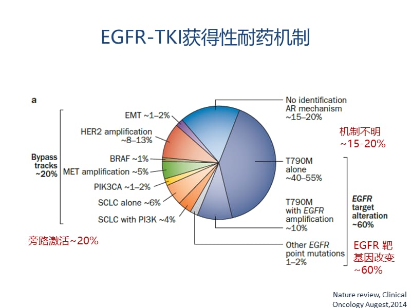 TKI耐药后治疗策略研究进展.ppt_第3页