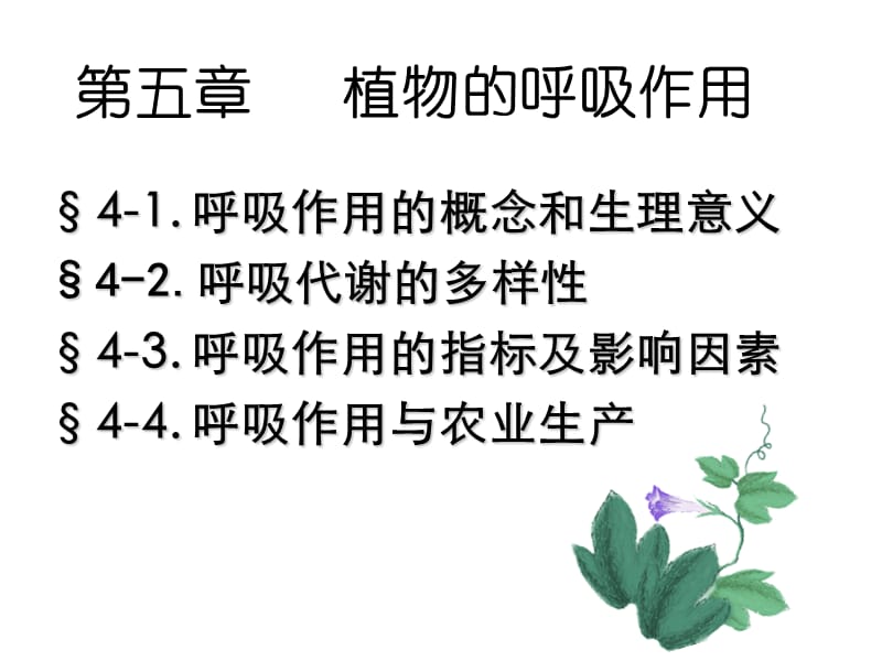 植物呼吸作用-陈智忠.ppt_第1页