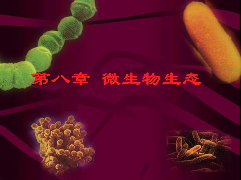 第八章微生物生态.ppt_第1页