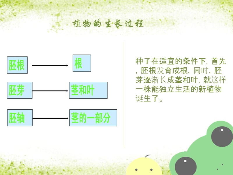 植物世界大探索.ppt_第2页