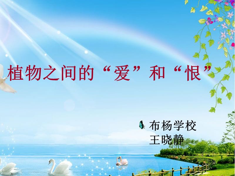 植物之间的爱与恨.ppt_第1页