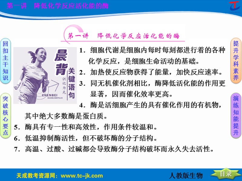 第5章细胞的能量供应和利用.ppt_第3页