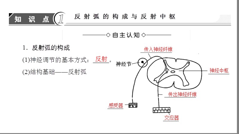 学年高中生物(中图版必修三)同步课件+第1单元+第3章+第2、3节+反射活动的基本原理+人脑的高级功能+.ppt_第3页