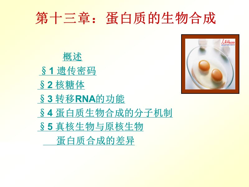 生物化学第十三章蛋白质.ppt_第2页