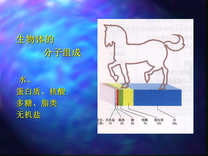 第二讲生命物质基础.ppt_第3页