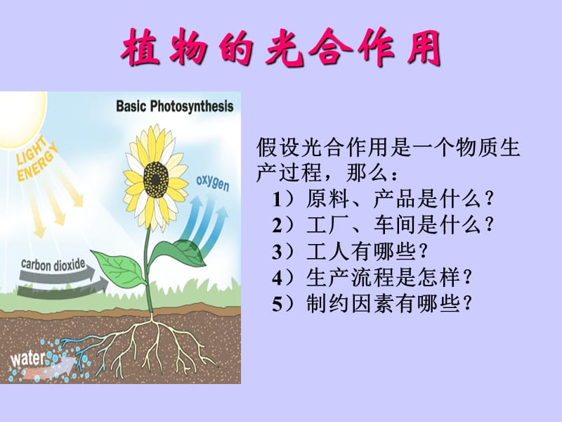 植物生理03.ppt_第2页