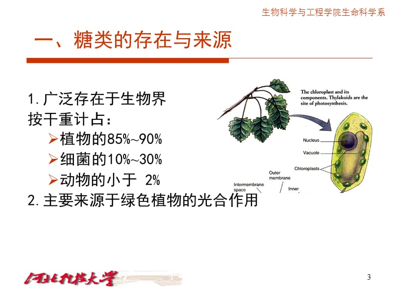 课件.ppt_第3页