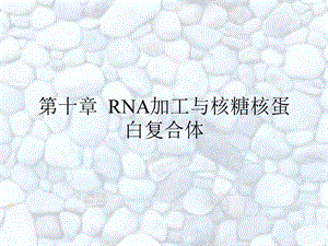 第十章RNA加工与核糖核蛋白复合体.ppt