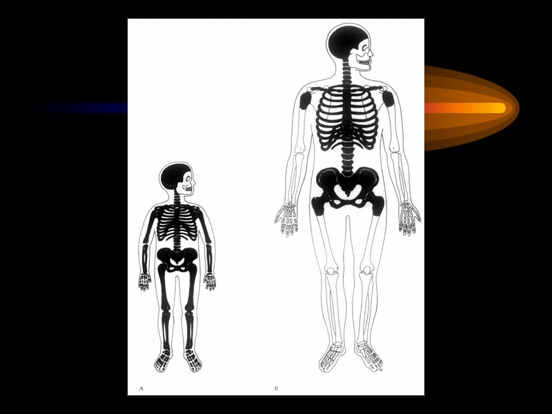 溶血性疾病-zzq.ppt_第3页