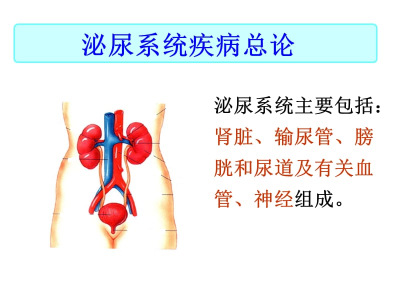 第一节泌尿常见症状.ppt_第3页