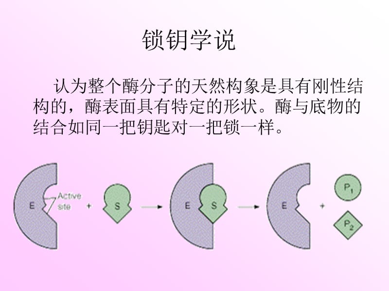 中间产物学说中间产物.ppt_第3页