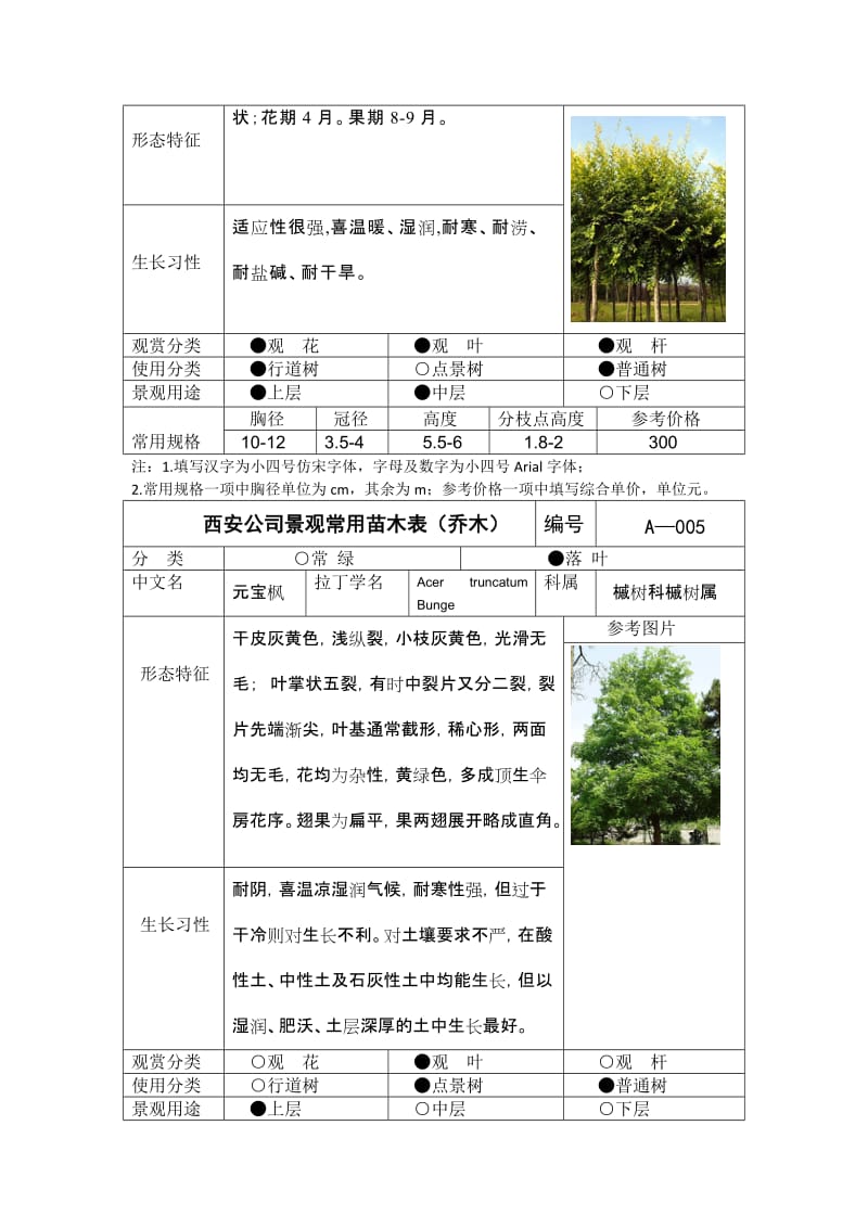 西安公司景观常用苗木表乔木.doc_第3页