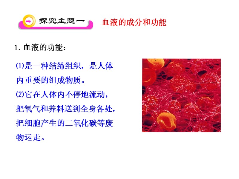 第一节血液和血型(第一课时).ppt_第3页