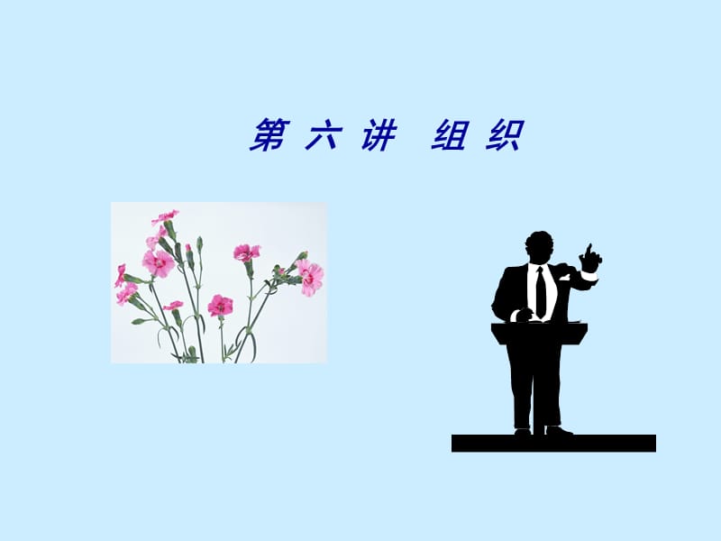 组织知识学习课件.ppt_第1页