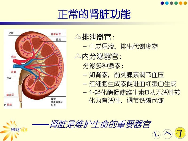 200812-糖尿病肾病.ppt_第2页