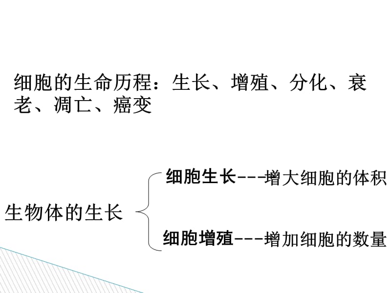 细胞的生命历程——生长、增殖.ppt_第2页