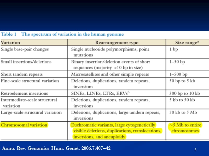 细胞遗传学-染色体畸变(一).ppt_第3页