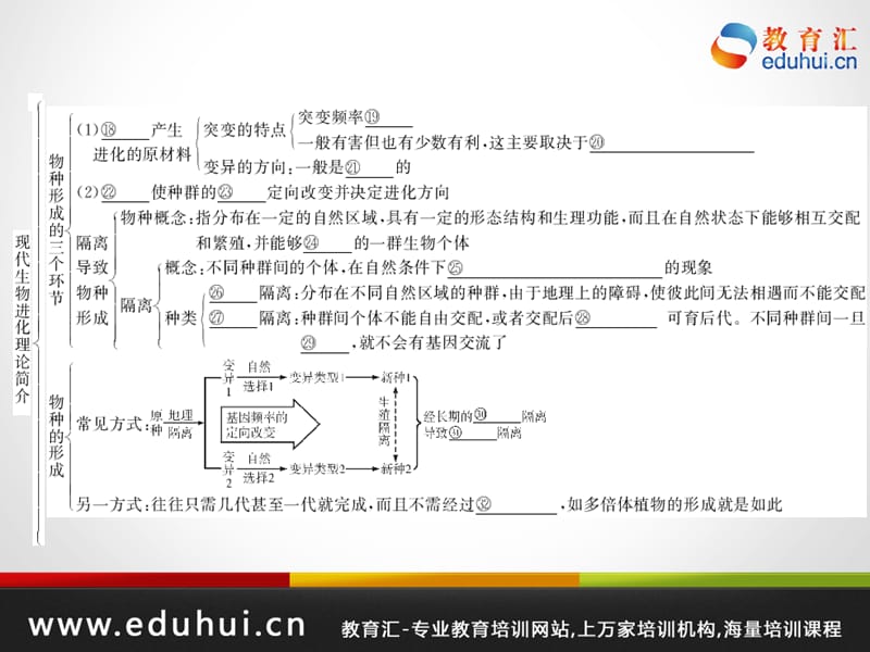 高考生物第一轮复习精品课件包第七单元生物的变异和进化32.ppt_第3页