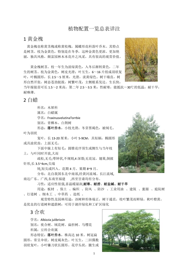 乔木的品种介绍.doc_第1页