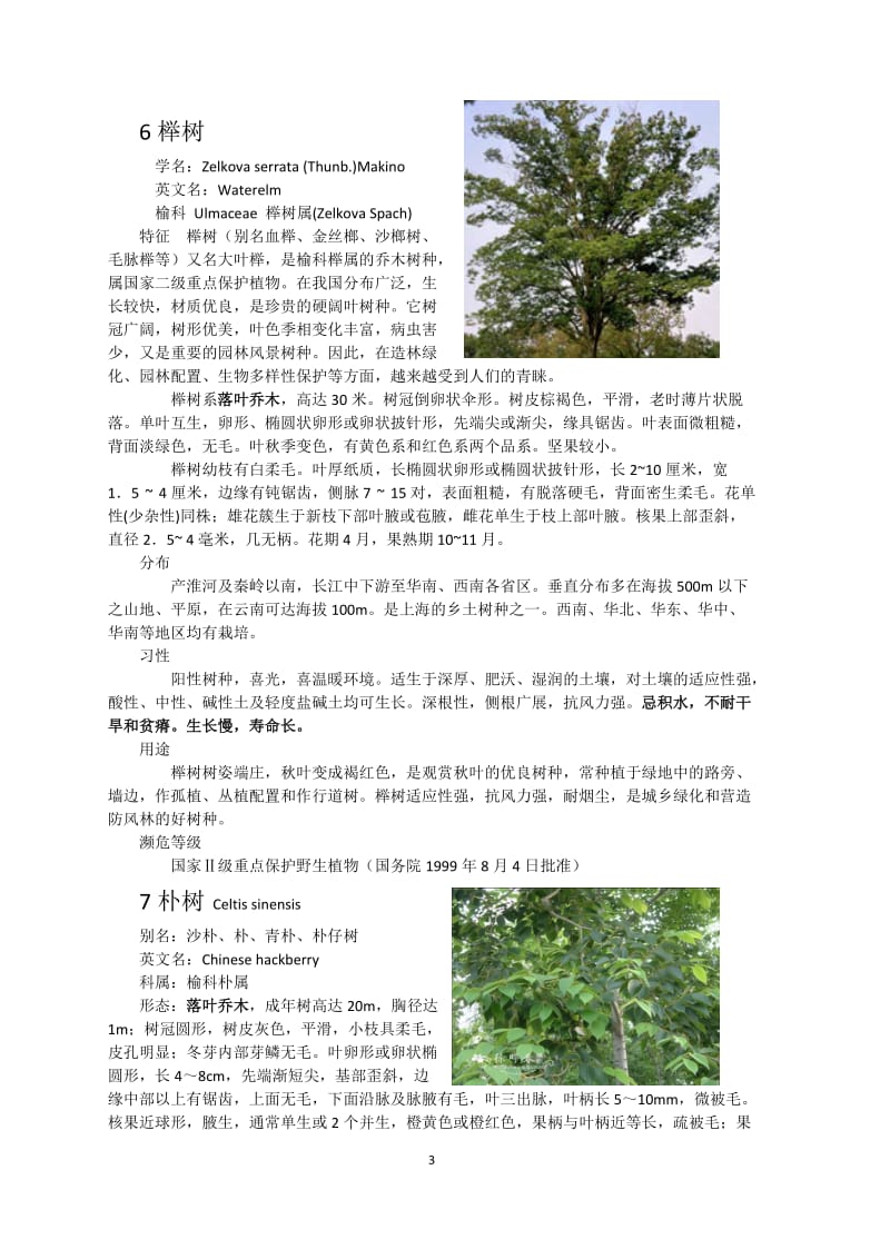 乔木的品种介绍.doc_第3页