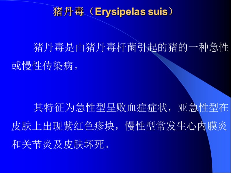 猪丹毒、猪链球菌病、猪瘟1.ppt_第1页