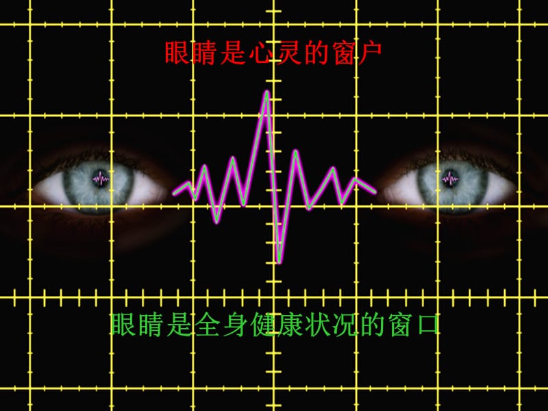 01-眼的解剖生理.ppt_第2页