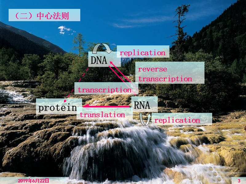 烟大生化34.ppt_第3页