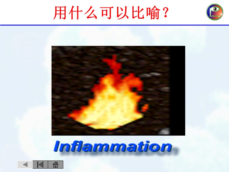 炎症yu6学时.ppt_第2页