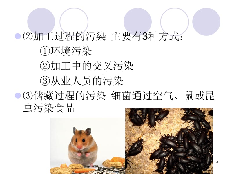 第一章食品的生物性污染.ppt_第3页