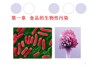 第一章食品的生物性污染.ppt