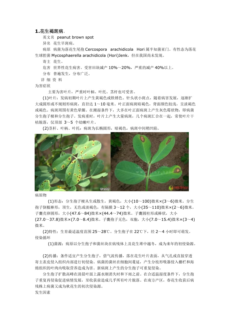 花生病害大全.doc_第1页