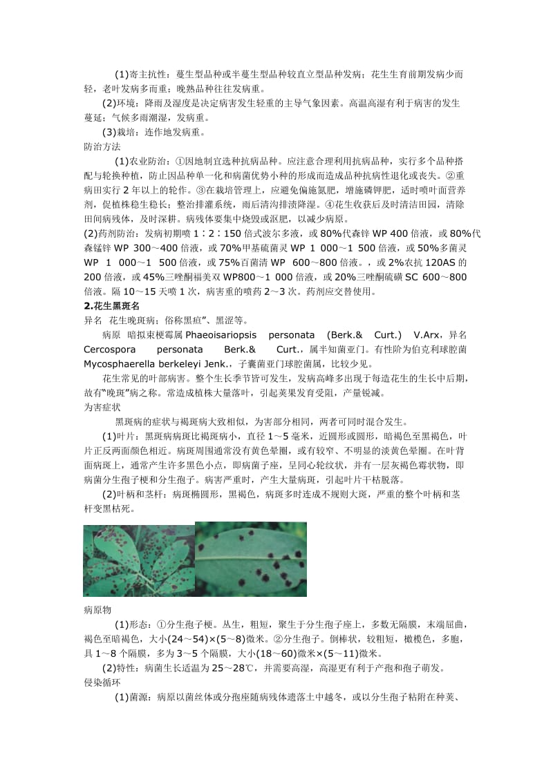 花生病害大全.doc_第2页