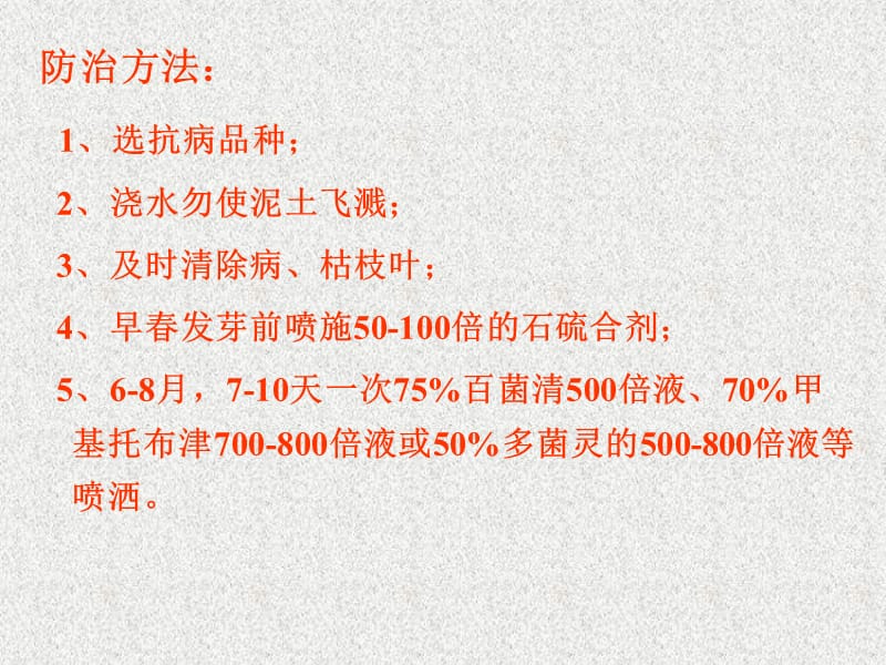 常见病虫害.ppt_第3页