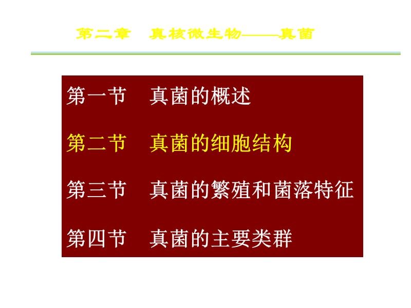 真菌的细胞结构.ppt_第1页