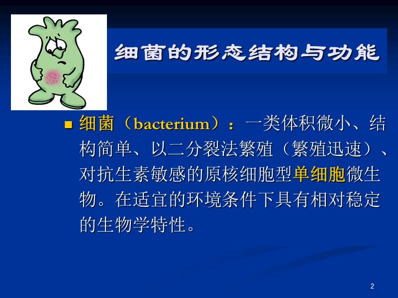 细菌的形态结构与功能.ppt_第2页