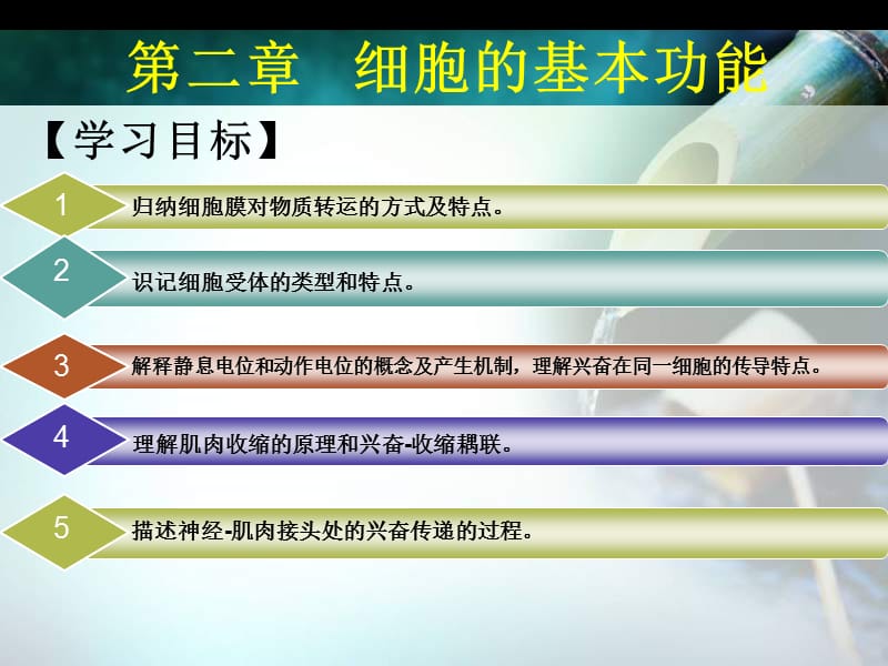 高职生生理学第二章.ppt_第2页