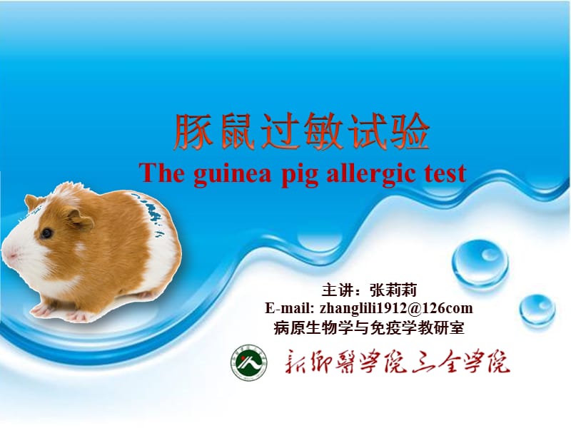 豚鼠过敏试验与中性粒细胞吞噬功能实验(小吞噬).ppt_第2页