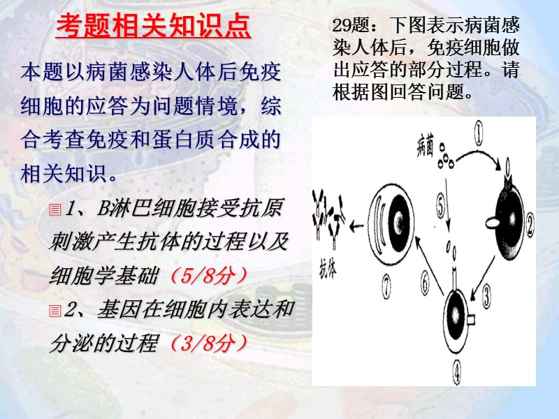 高考生物分析资料-免疫.ppt_第2页