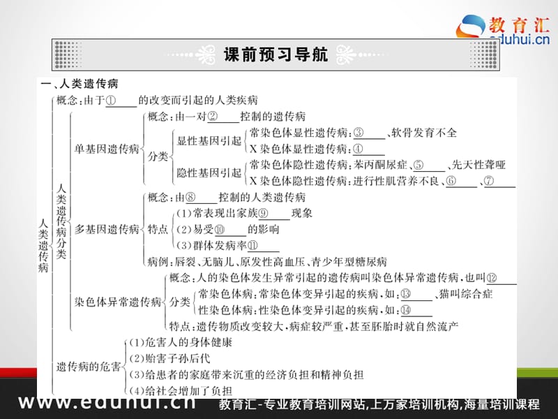 高考生物第一轮复习精品课件包第七单元生物的变异和进化31.ppt_第2页