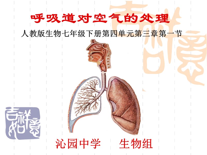 第一节呼吸道对空气的处理 (2).ppt_第1页