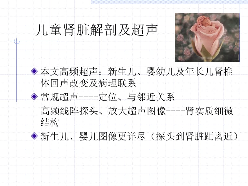 肾椎体正常及异常声像图.ppt_第3页